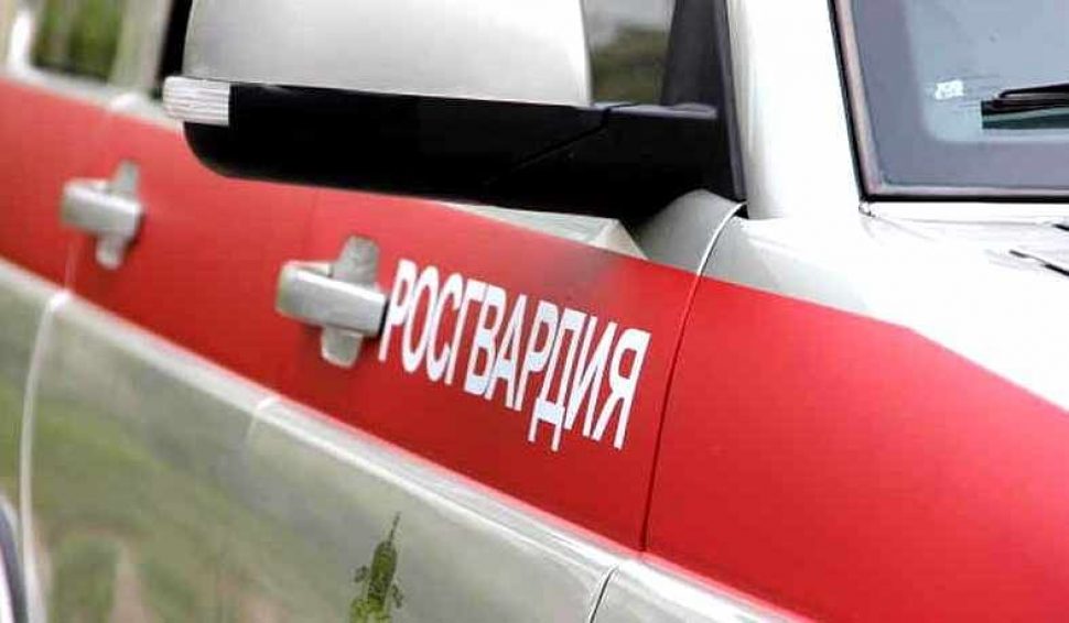 В Архангельской области сотрудники Росгвардии  изъяли за неделю десять единиц оружия и аннулировали четыре разрешения